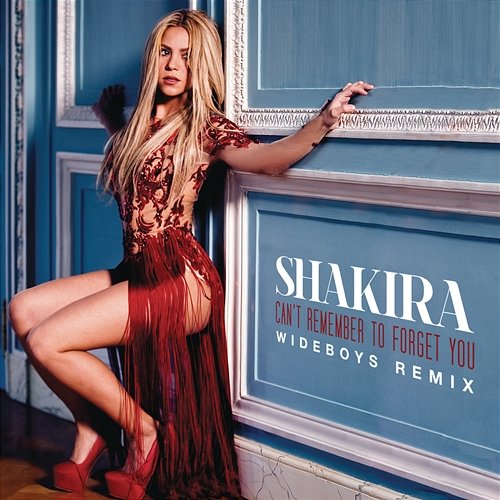 Can't Remember to Forget You Shakira