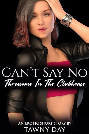 Can't Say No - ebook epub Tawny Day