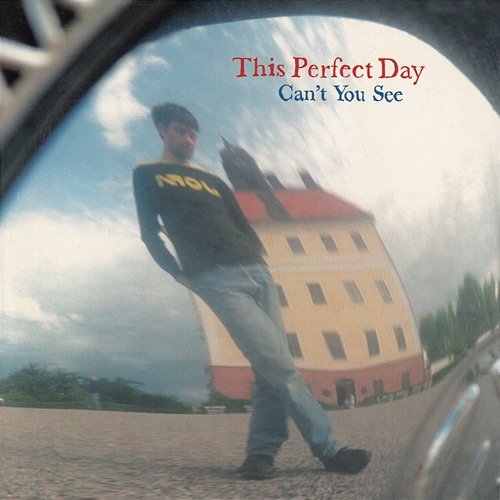 Can't You See This Perfect Day