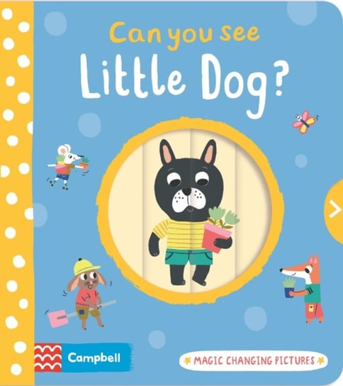 Can You See Little Dog?: Magic changing pictures Books Campbell