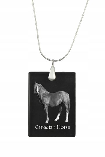 Canadian horse Kryształowy naszyjnik z koniem Inna marka