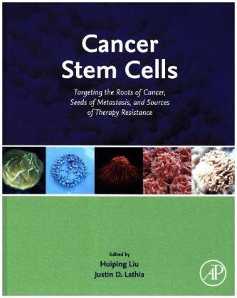 Cancer Stem Cells Liu Huiping
