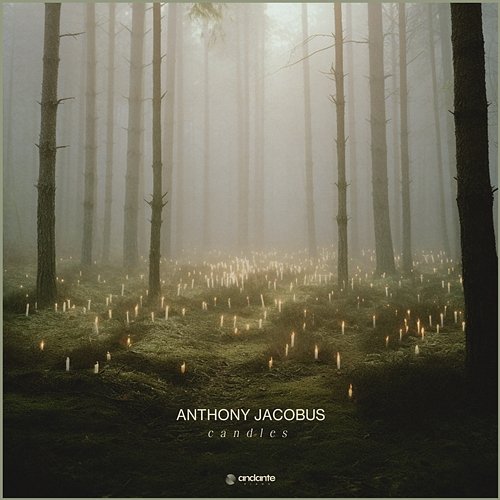 Candles Anthony Jacobus