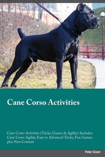 Cane Corso Activities Cane Corso Activities (Tricks, Games & Agility) Includes Young Paul