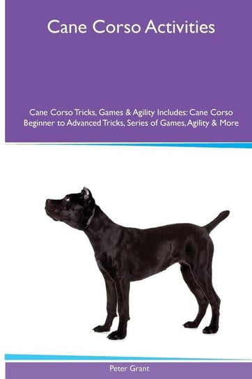 Cane Corso  Activities Cane Corso Tricks, Games & Agility. Includes Grant Peter