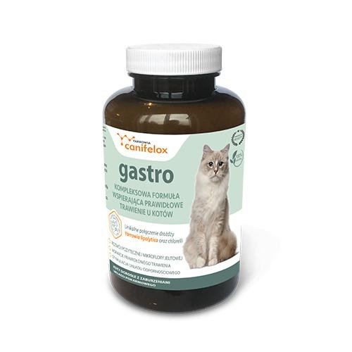 Canifelox Gastro Cat, 120G Skotan
