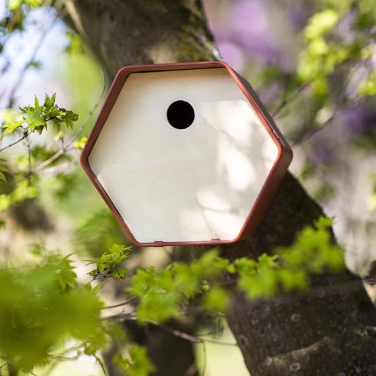 Capi Budka dla ptaków Hive 1, 19x23x20 cm, okrągły otwór, brązowa Capi