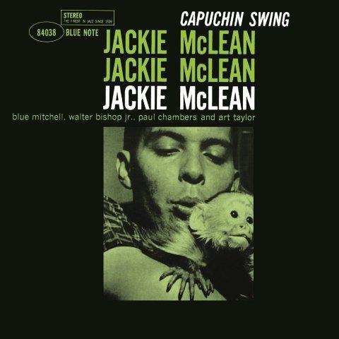 Capuchin Swing McLean Jackie