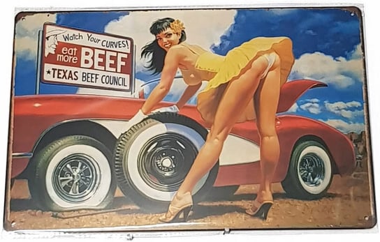 Car With Girl Texas Plakat Tablica Blacha Ozdobna Inna marka