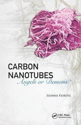 Carbon Nanotubes Fiorito Silvana