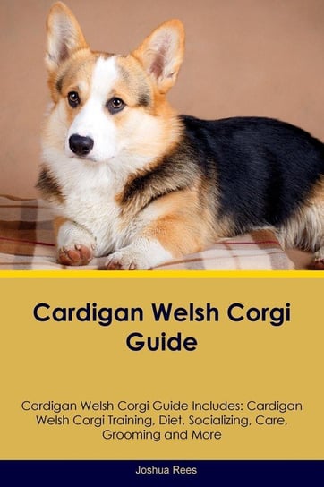 Cardigan Welsh Corgi Guide Cardigan Welsh Corgi Guide Includes Rees Joshua