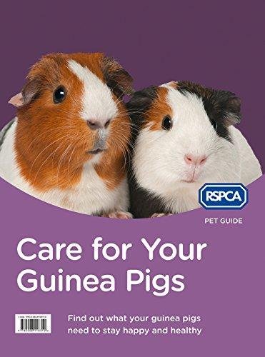 Care for Your Guinea Pigs Opracowanie zbiorowe