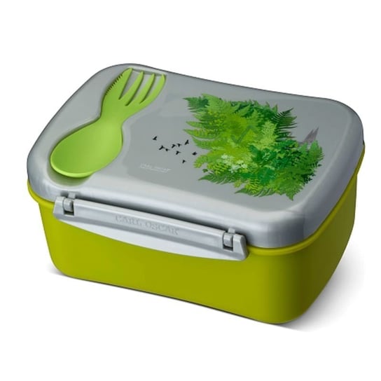 Carl Oscar Runes Wisdom Lunch box z pokrywą chłodzącą - Nature Inna marka