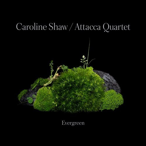 Caroline Shaw: Evergreen Caroline Shaw & Attacca Quartet