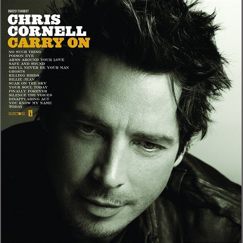 Carry On Chris Cornell