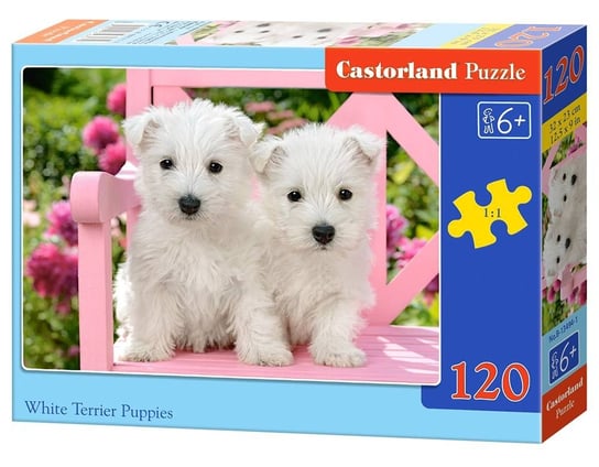 Castor, puzzle  Białe Terriery Castorland