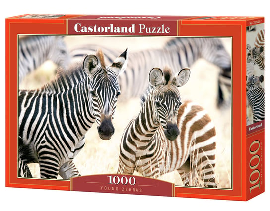CASTOR, Puzzle Young Zebras, 1000 el. Castorland