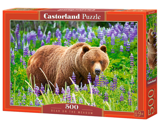 Castorland, puzzle, Bear on the Meadow, 500 el. Castorland