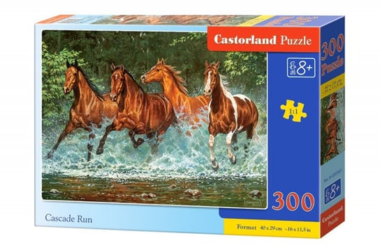 Castorland, puzzle, Cascade run, 300 el. Castorland