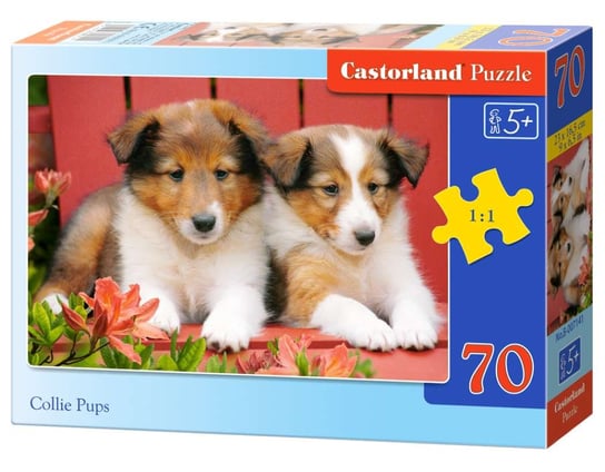 Castorland, puzzle, Collie Pups, 70 el. Castorland
