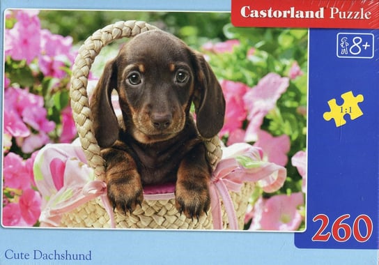Castorland, puzzle, Cute Daschshund, 260 el. Castorland