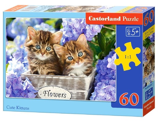 Castorland, puzzle, Cute Kittens, 60 el. Castorland