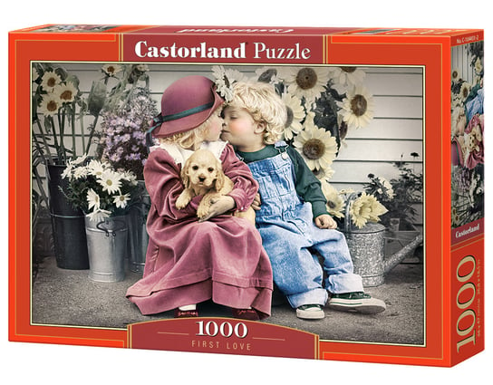 Castorland, puzzle, First Love, 1000 el. Castorland