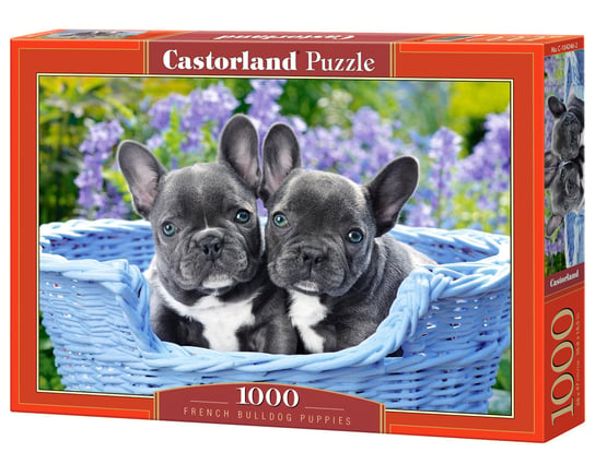 Castorland, puzzle, French Bulldog Puppies, 1000 el. Castorland