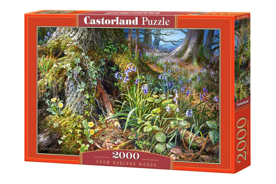 Castorland, puzzle, From Rusland Woods, 2000 el. Castorland