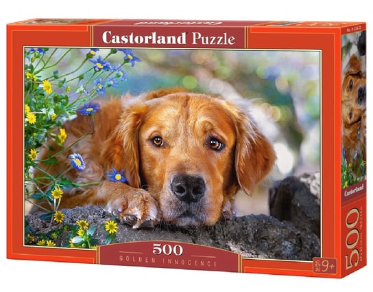 Castorland, puzzle, Golden Innocence, 500 el. Castorland