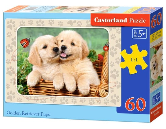 Castorland, puzzle, Golden Retriever Pups, 60 el. Castorland