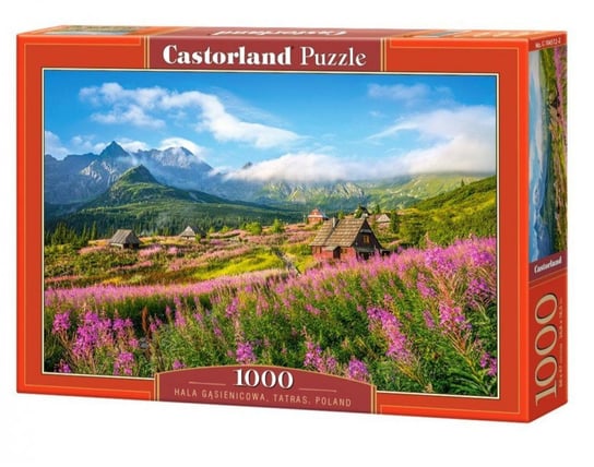 Castorland, puzzle, Hala Gąsienicowa Tarty, 1000 el. Castorland