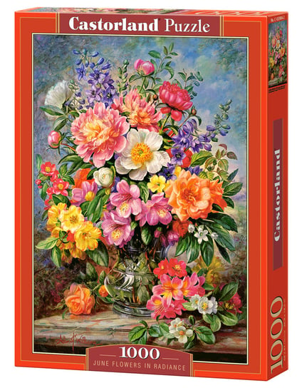 Castorland, puzzle, June Flowers in Radiance, 1000 el. Castorland