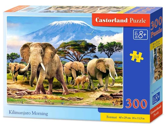 Castorland, puzzle, Kilimanjaro Morning, 300 el. Castorland