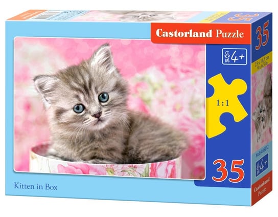 Castorland, puzzle, Kitten in Box, 35 el. Castorland