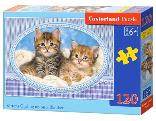 Castorland, puzzle, Kittens Curling up on a Blanket, 120 el. Castorland
