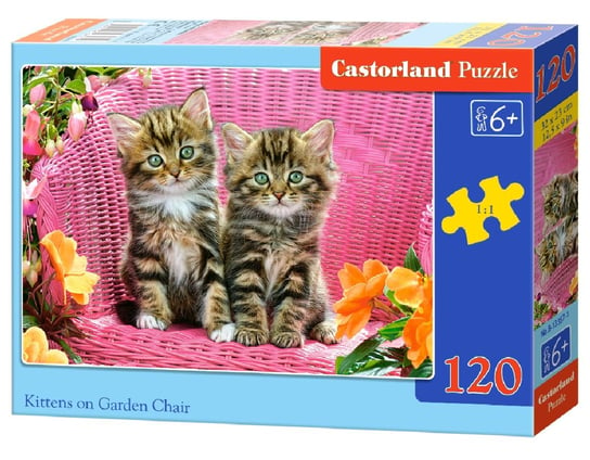Castorland, puzzle, Kittens on Garden Chair, 120 el. Castorland