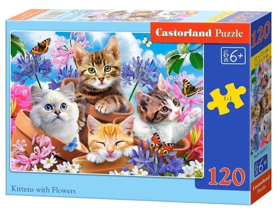 Castorland, puzzle, kittens with flowers klasyczne, dziecięce, 120 el. Castorland