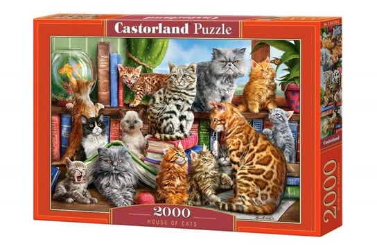 Castorland, puzzle, Koci Dom, 2000 el. Castorland