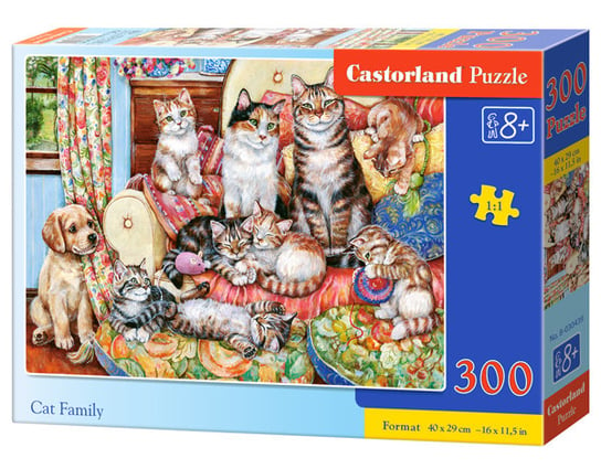 Castorland, puzzle, Kocia rodzina, 300 el. Castorland