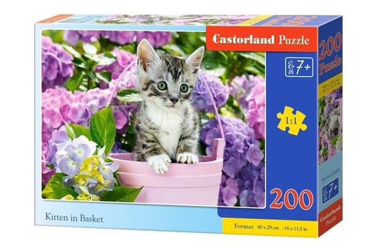 Castorland, puzzle, Kot w koszyku, 200 el. Castorland