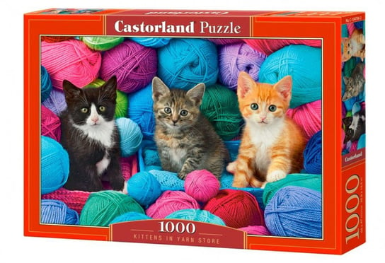 Castorland, puzzle, Koty w kłębkach wełny, 1000 el. Castorland