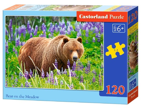 Castorland, puzzle, land, puzzle, Bear On The Meadow, 120 el. Castorland