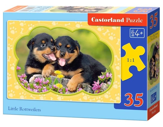 Castorland, puzzle, Little Rottweilers, 35 el. Castorland