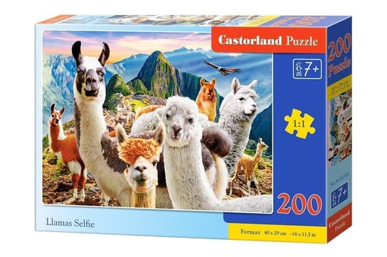 Castorland, puzzle, Llamas Selfie, 200 el. Castorland