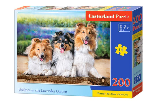 Castorland, puzzle, Owczarki szetlandzkie w lawendowym ogrodzie, 200 el. Castorland