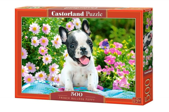 Castorland, puzzle, Pieski Buldożki Francuskie, 500 el. Castorland