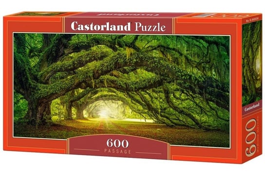 Castorland, puzzle, Przejście, 600 el. Castorland