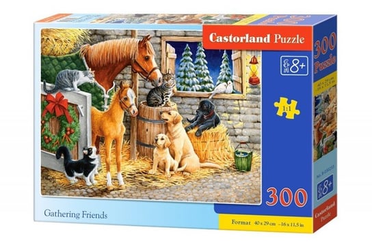Castorland, puzzle, Przyjaciele, 300 el. Castorland