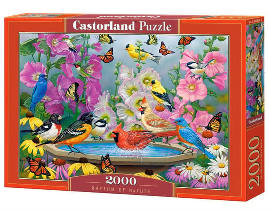 Castorland, puzzle, Ptaki Rytm natury, 2000 el. Castorland